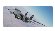DCS: F-14 “雄猫”