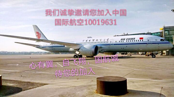 中国国际航空招收飞行学员-7904 