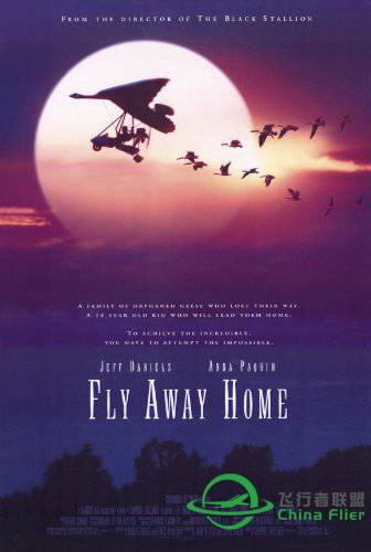 最美飞行电影 Fly Away Home/伴你高飞，自制飞机-2364 
