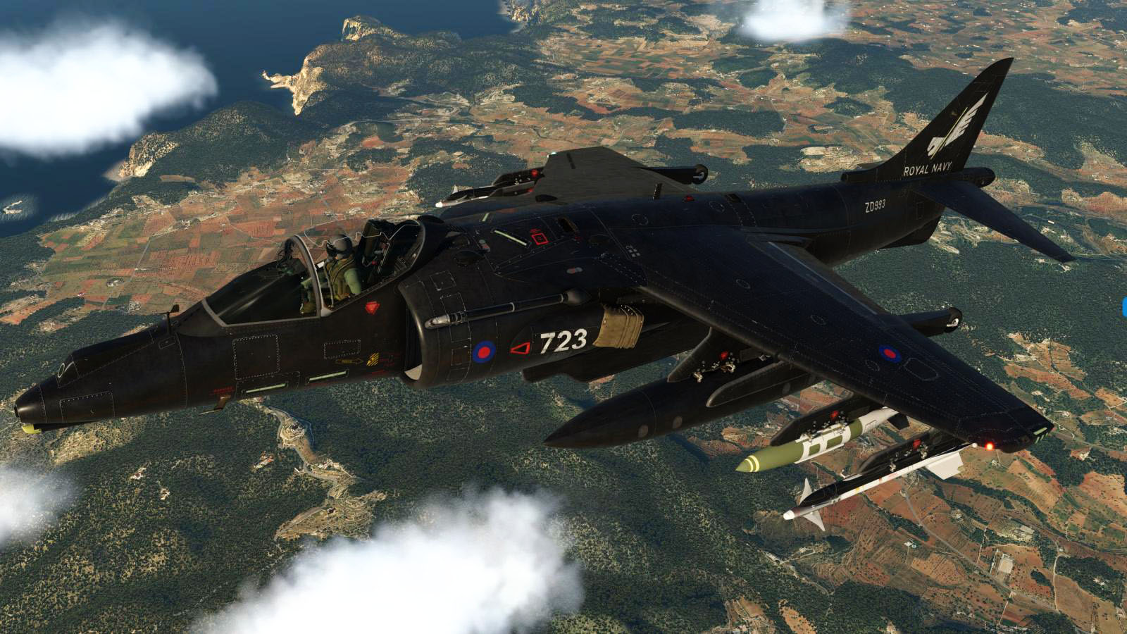 X 战斗机-446 