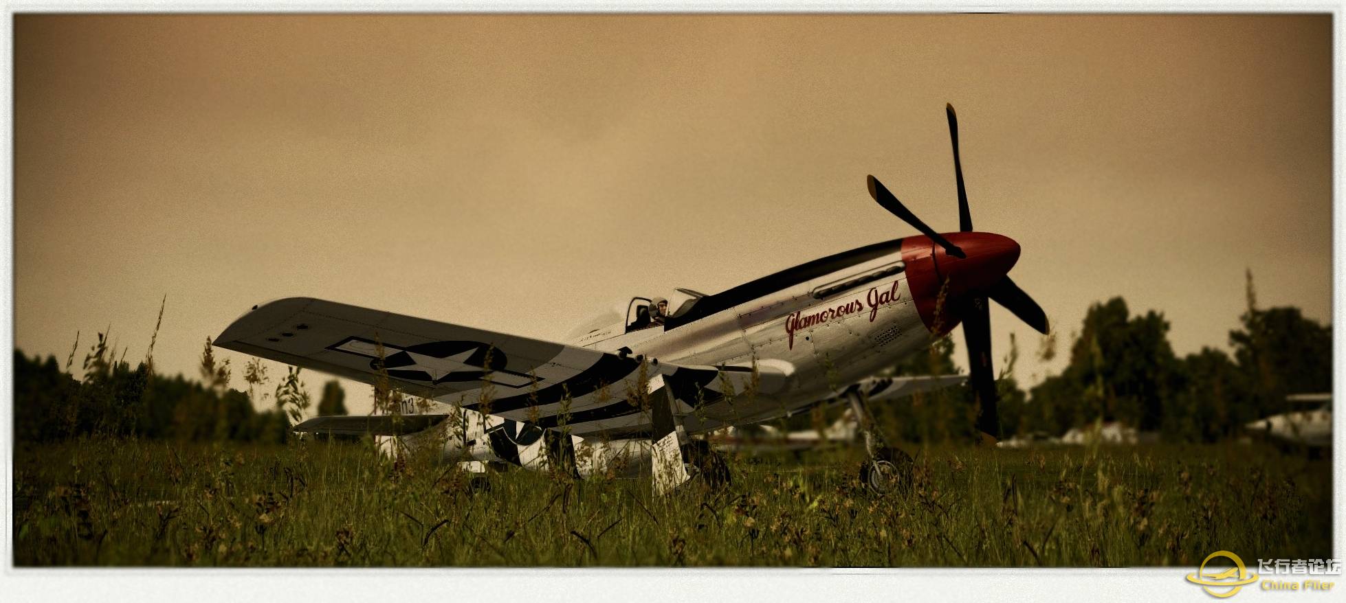 天马行空 P-51D野马-493 