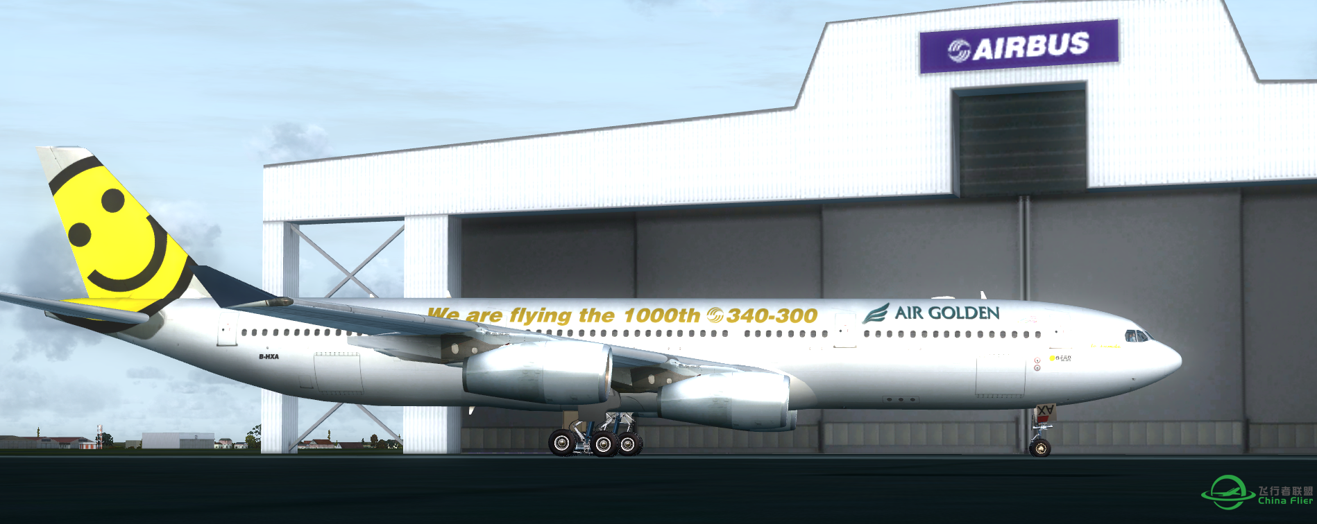 fsx good picture-3118 