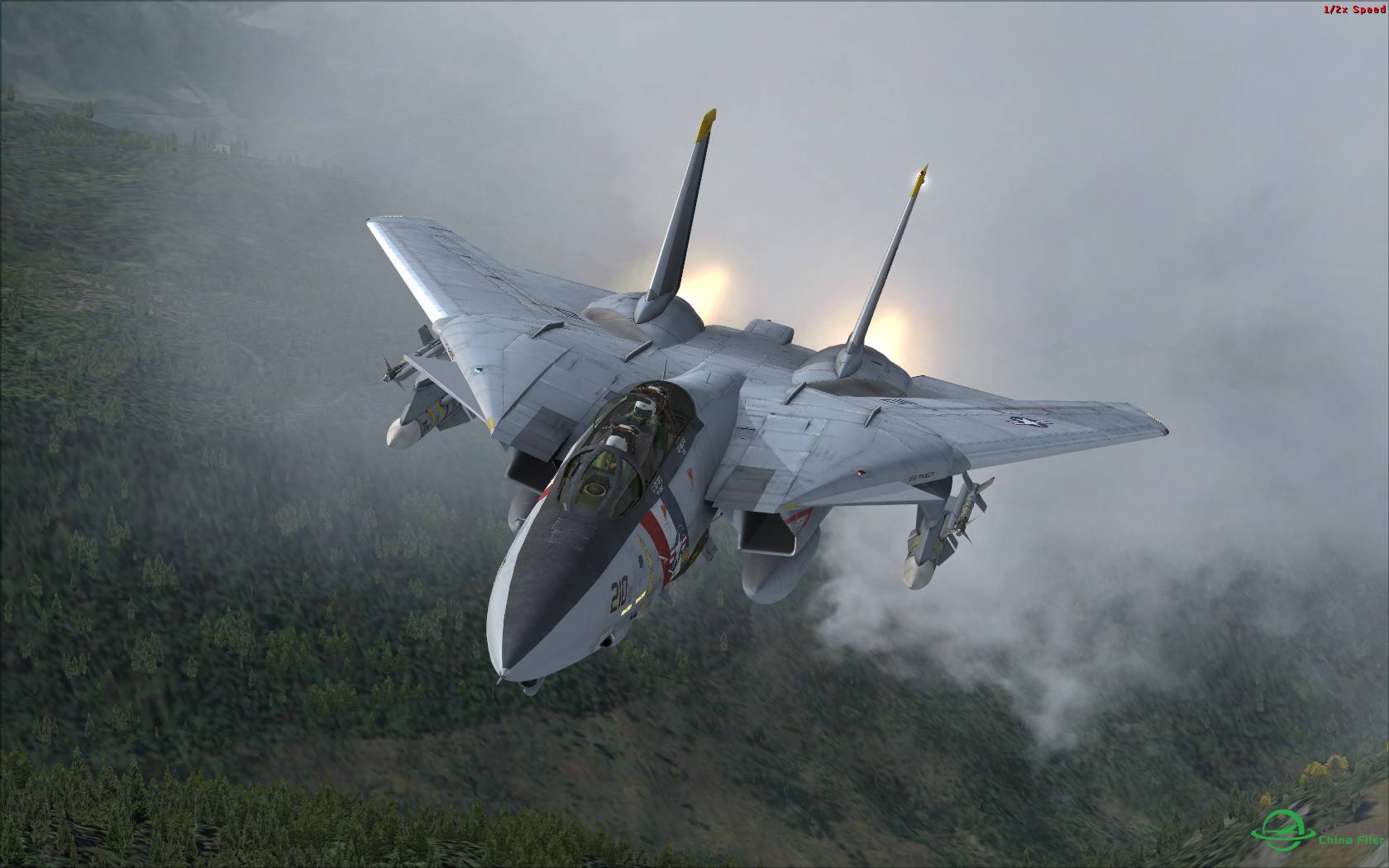 很有气势的AEROSOFT F-14X.-8073 