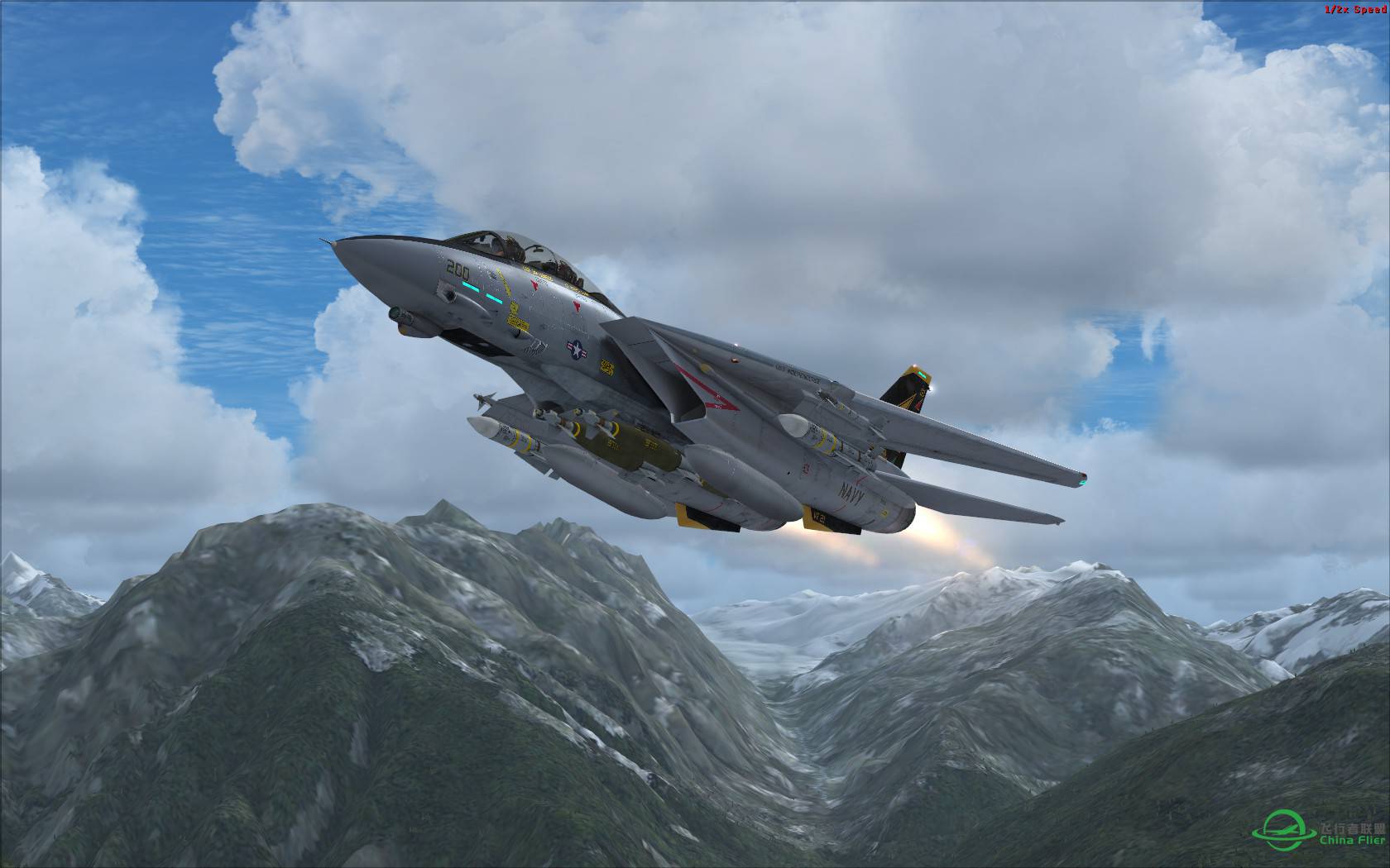 很有气势的AEROSOFT F-14X.-3948 