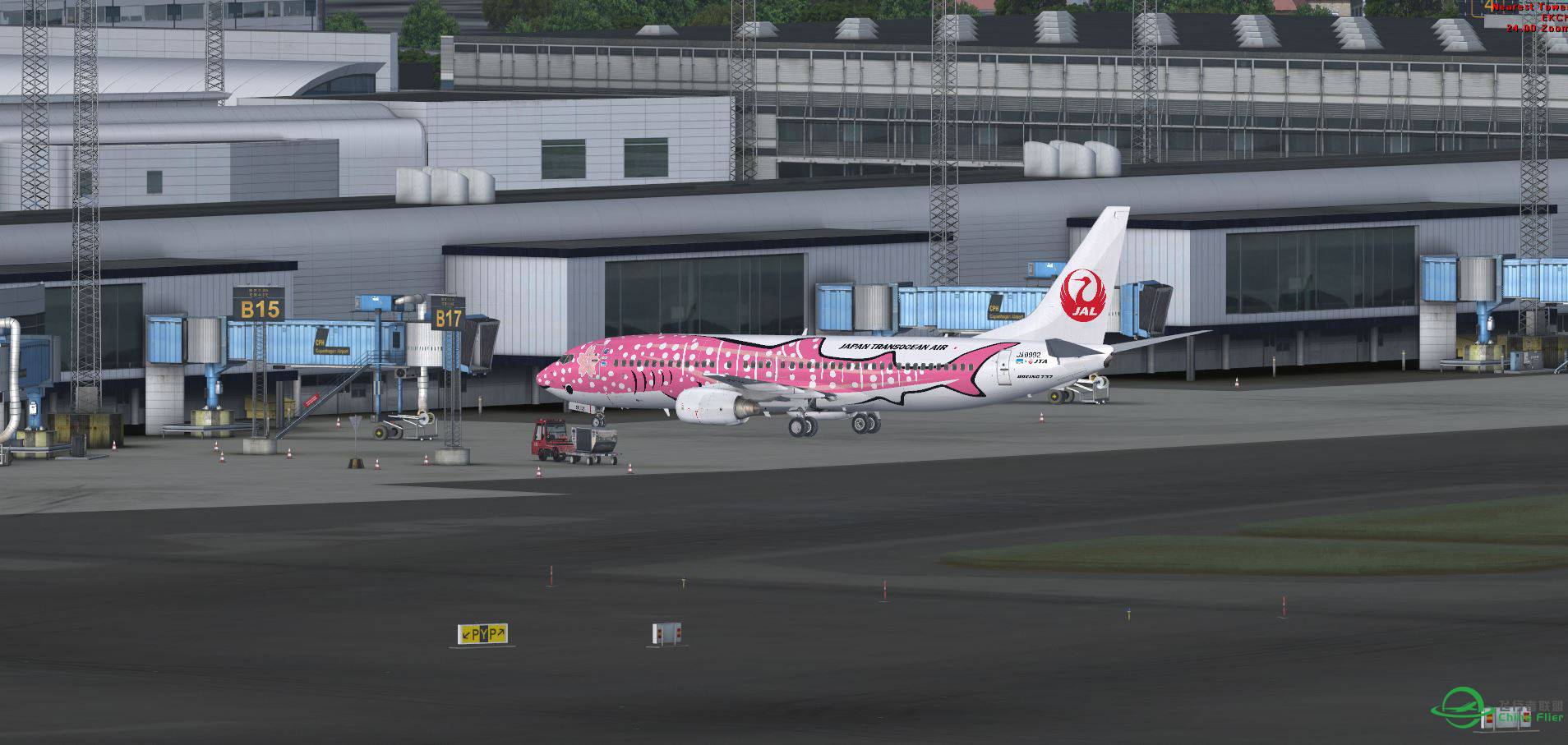 FSX B737 JAL 粉紅鯨 JA8992 @ ECKH-5714 