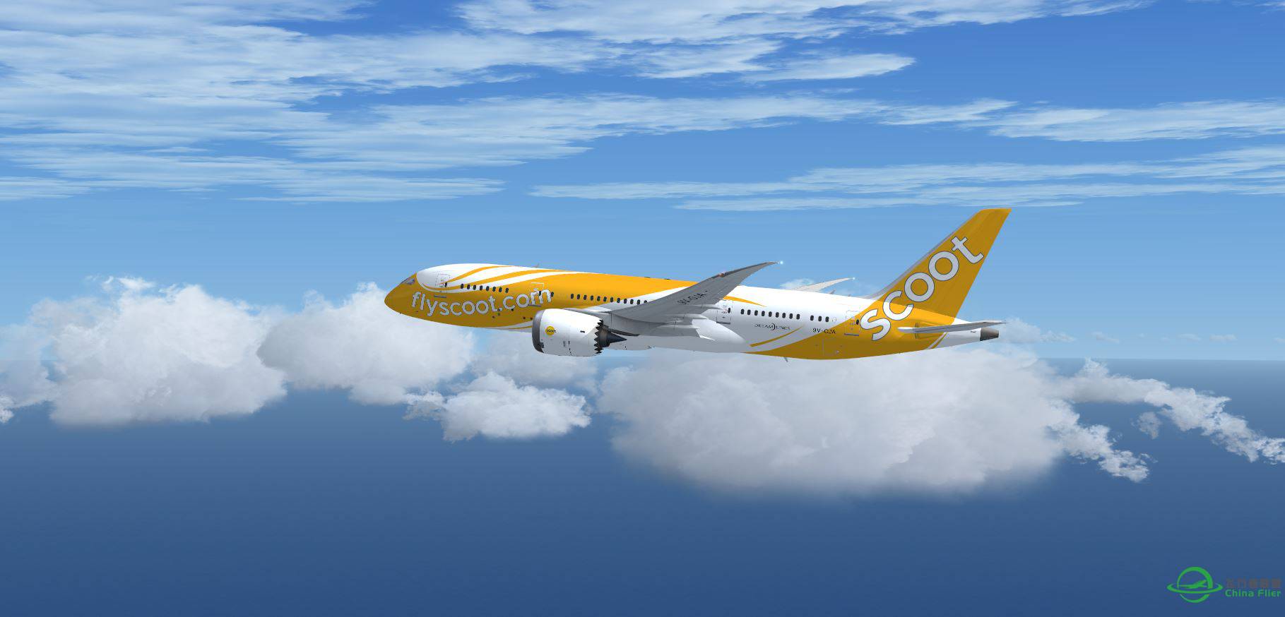 B787 scoot @ NCRG-5992 