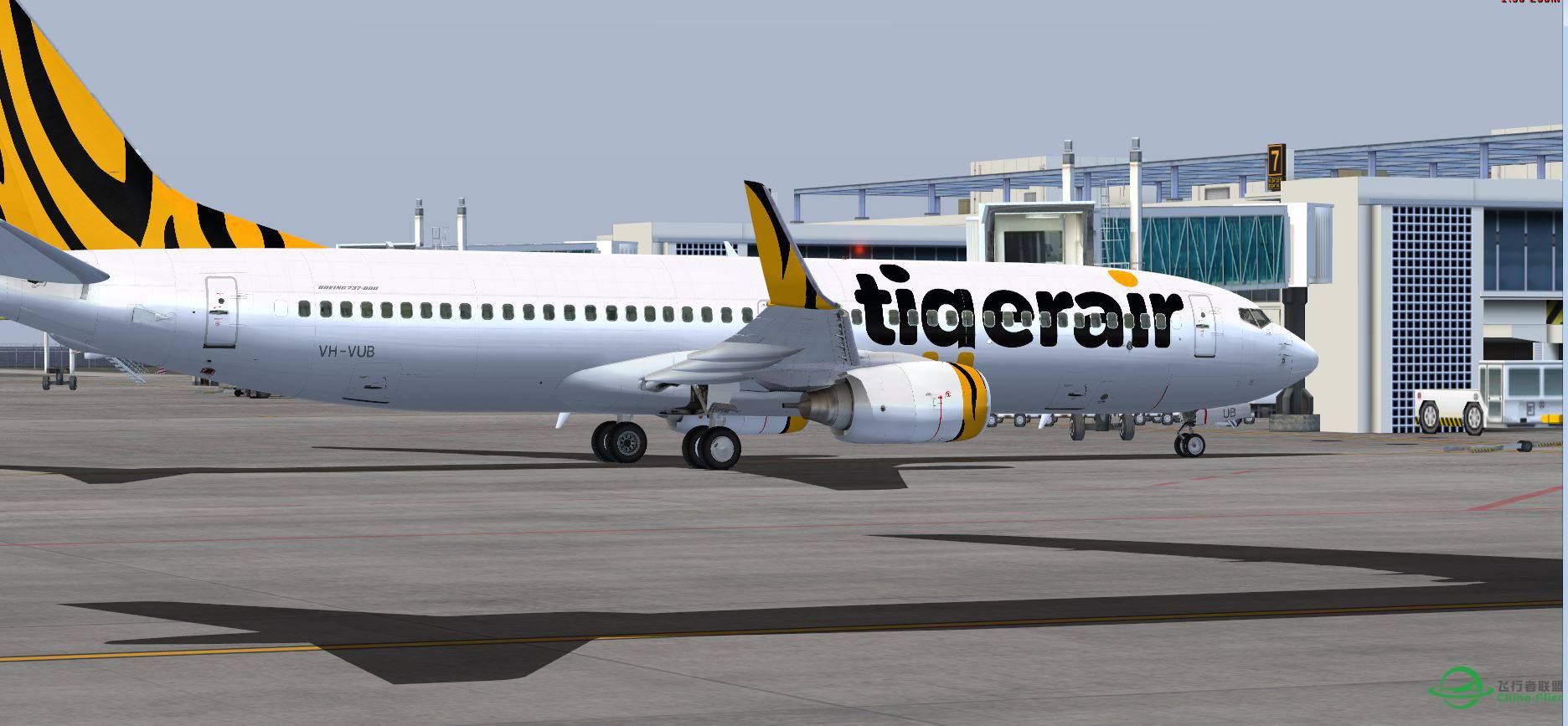 B737 Tiger @ ROIG-5275 