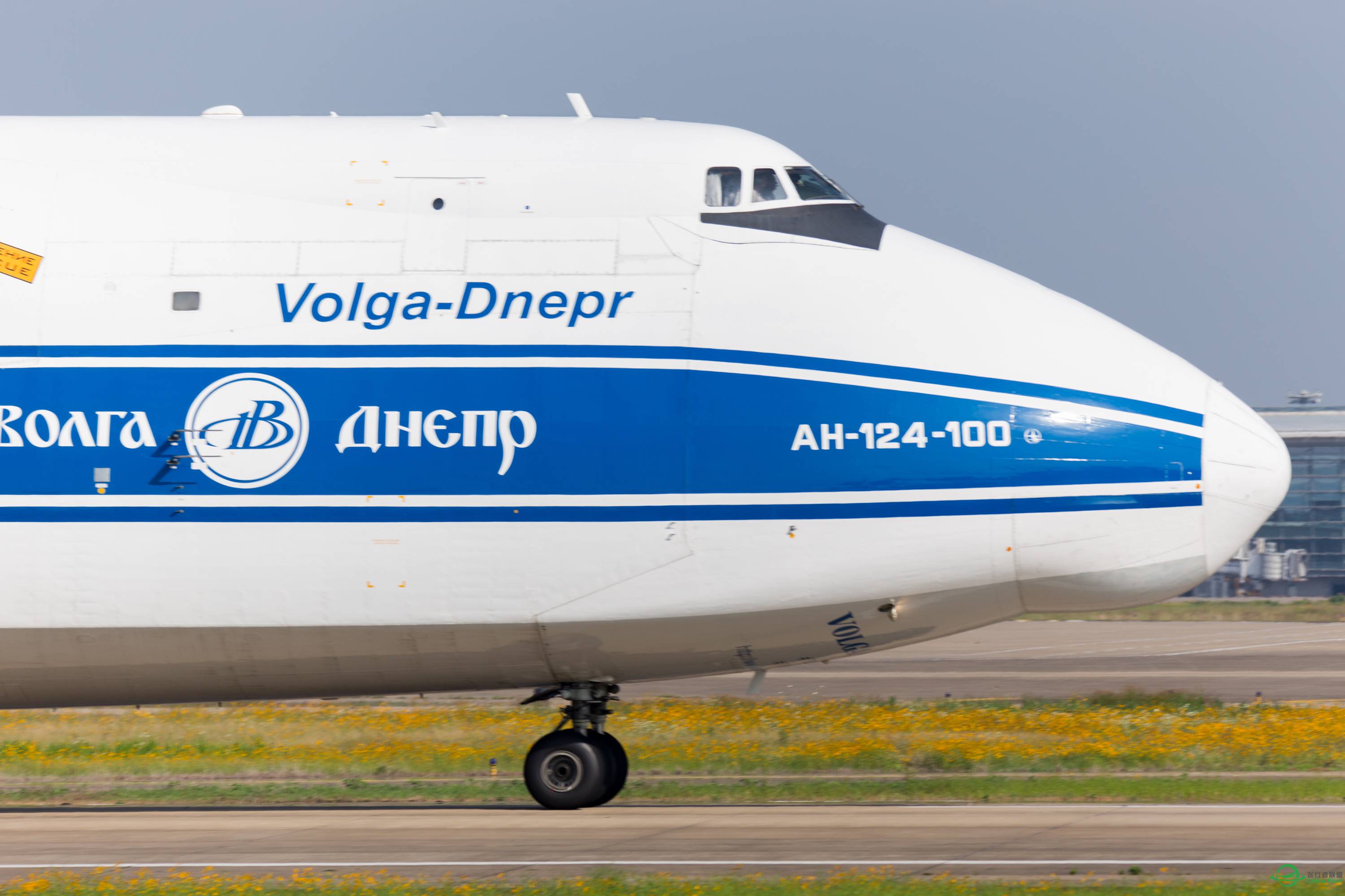 An124-8741 