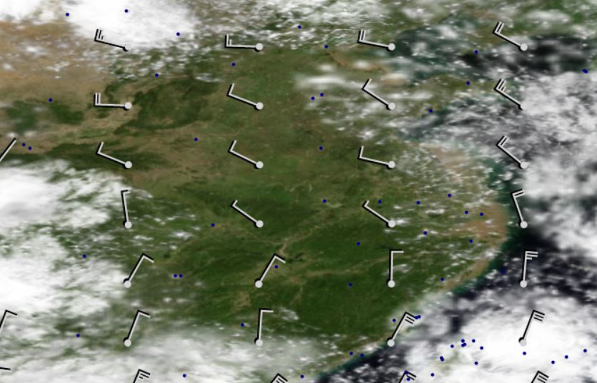 新手请教天气图的风向风速图示该怎么看?-7954 