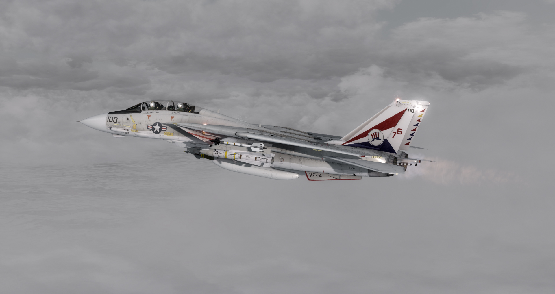 喵~喵~喵~冬季的雄猫，美国海军F-14雪白色的诱惑-2462 