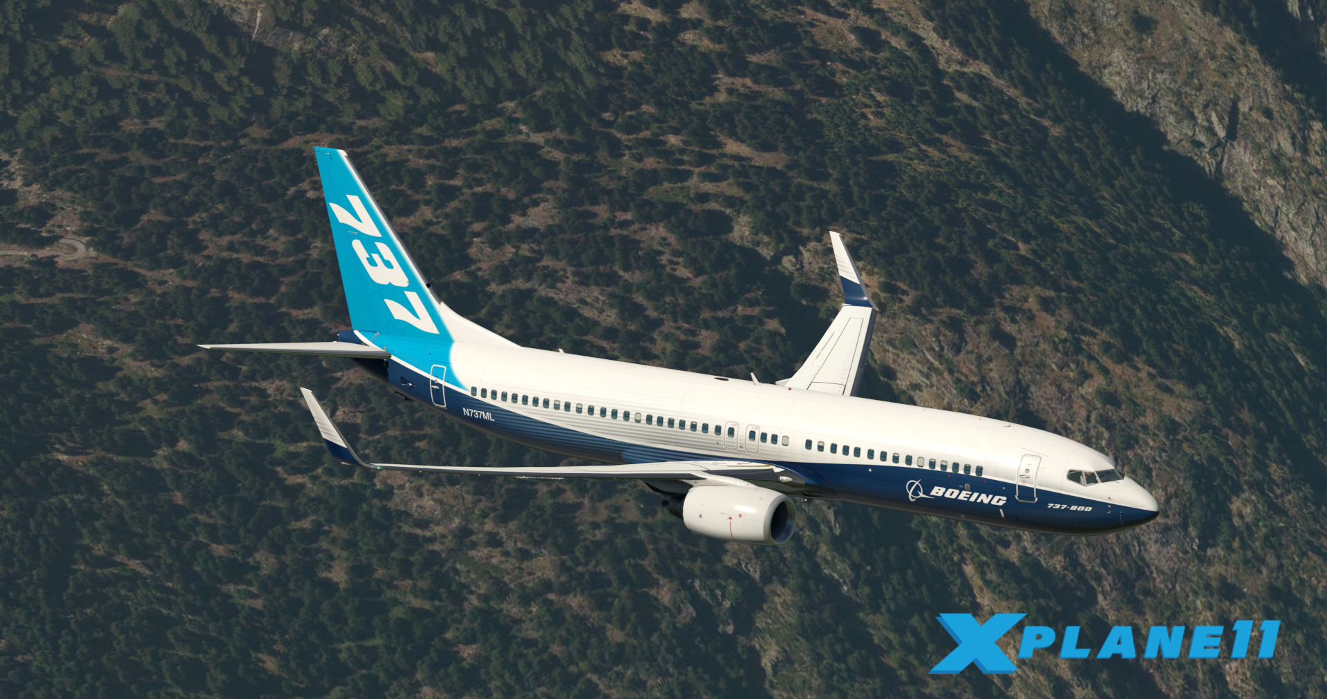 XPLANE 11 BOEING 737 HOUSE PAINT-3282 