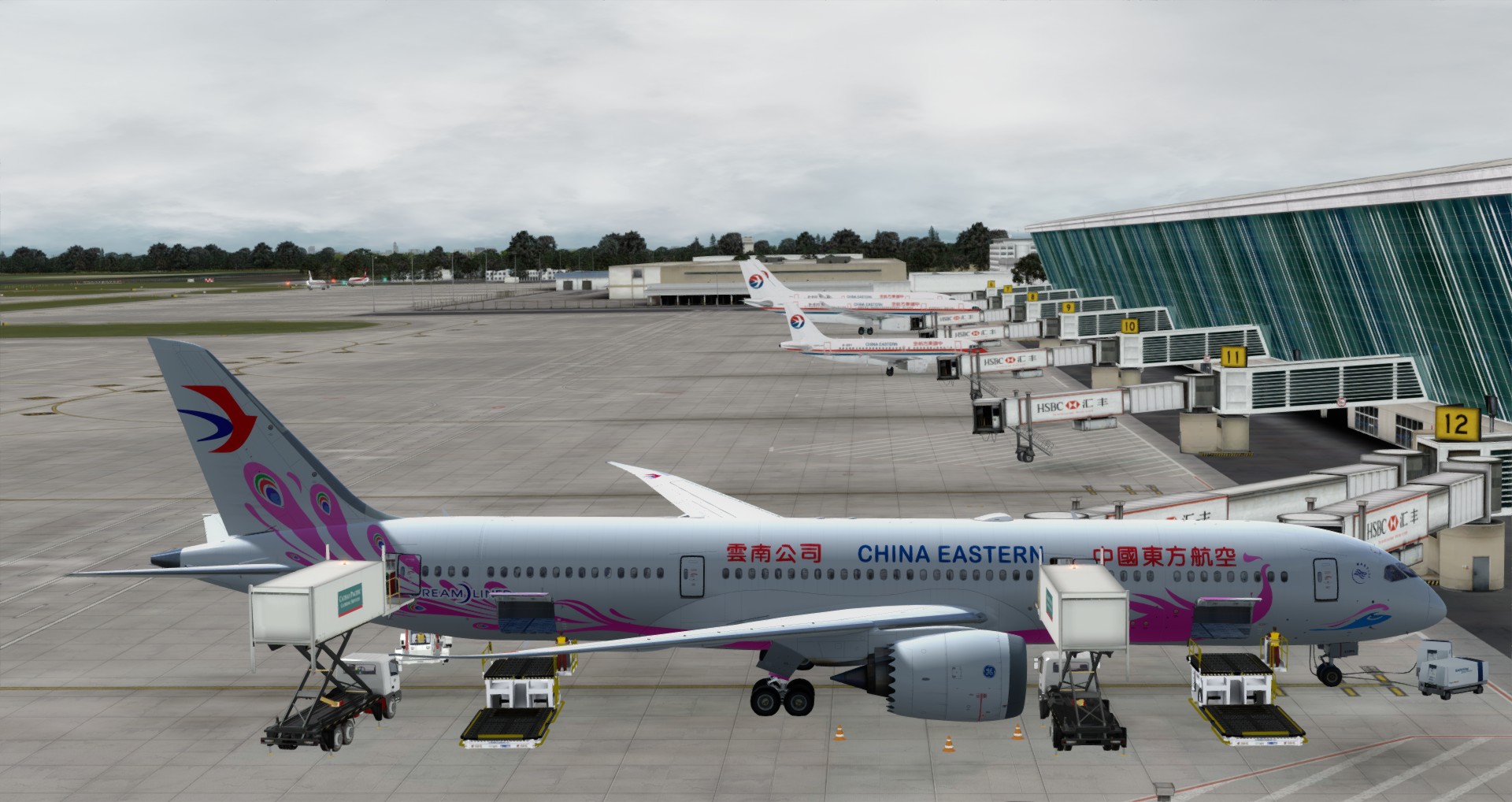 P3D V4 789 China Eastern Airlines ZSPD-VHHH-460 