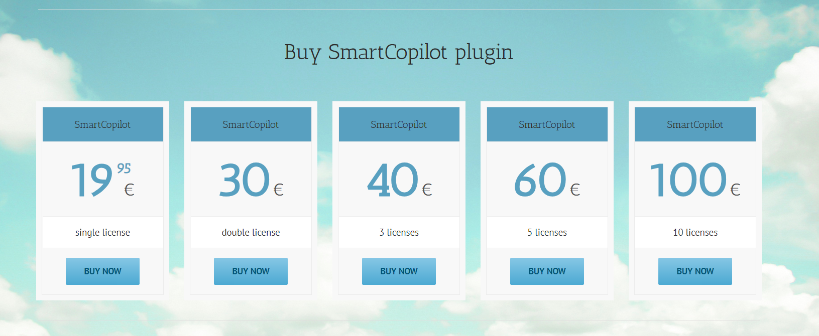 团购smartcopilot 有没有一起的？同飞机，两人开-2981 