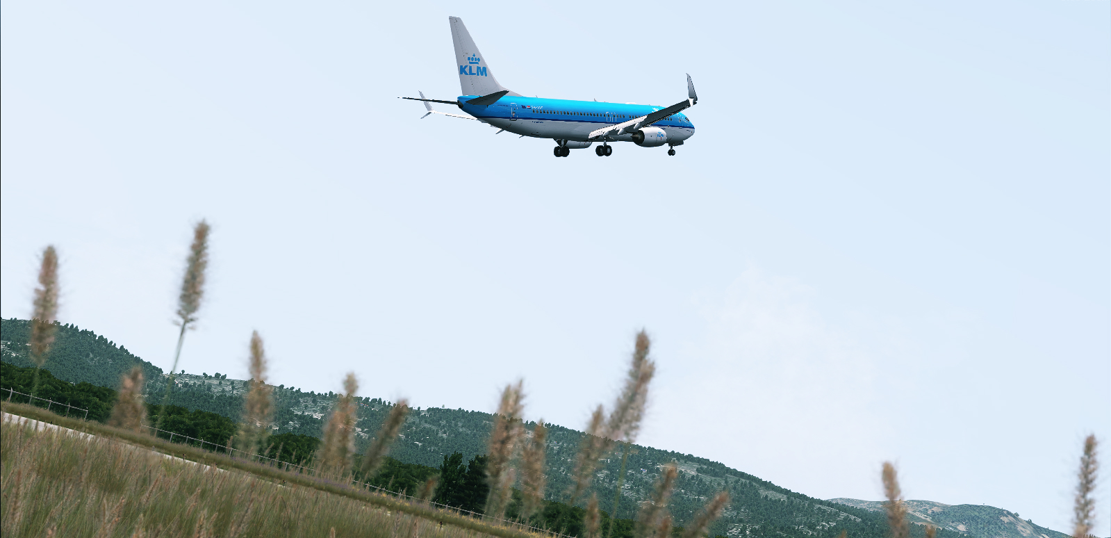 {FSX}渣图-8047 