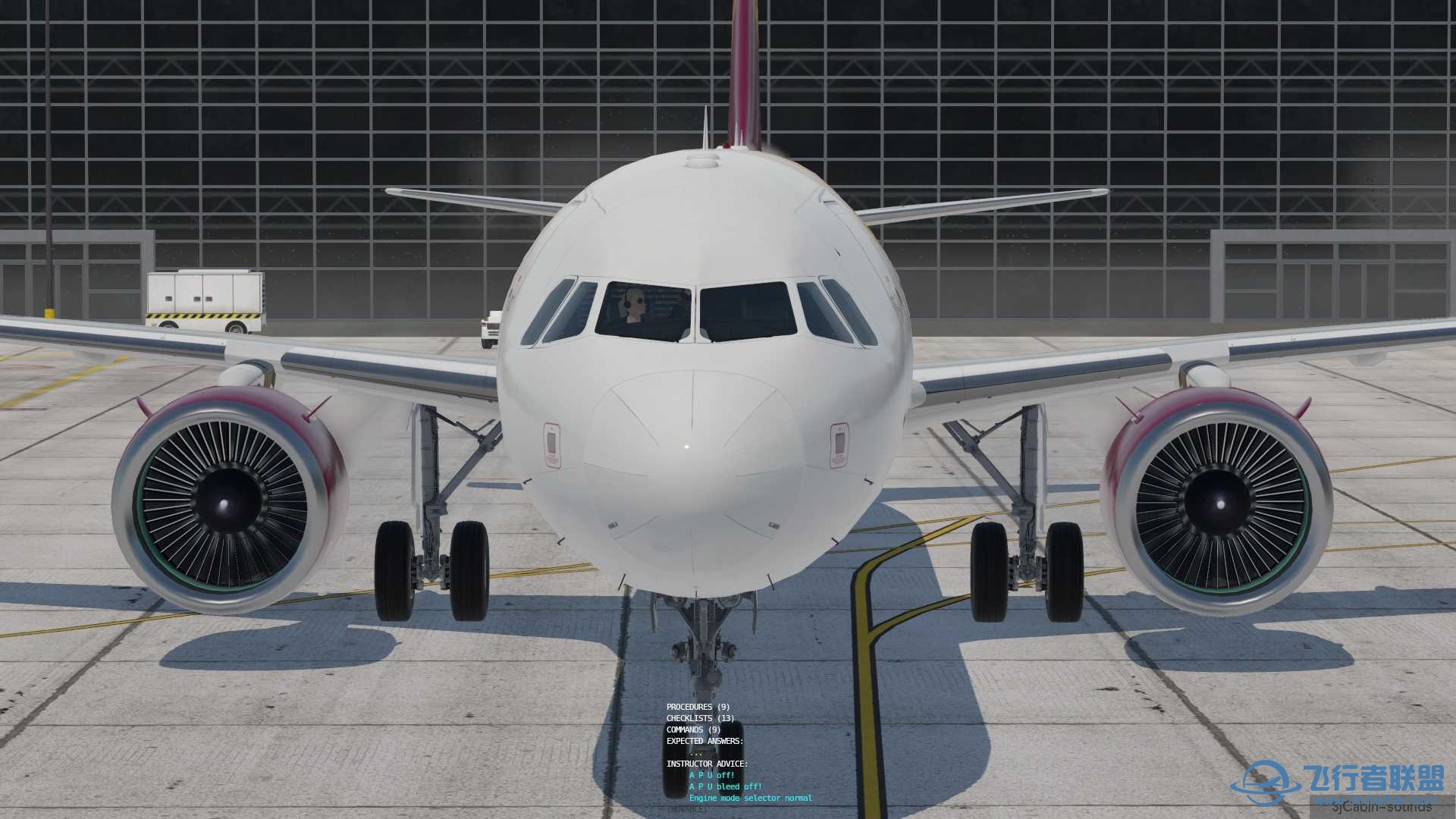 Toliss - 空中客车 A321/A321NEO v1.21的普惠发动机显示问题-7574 