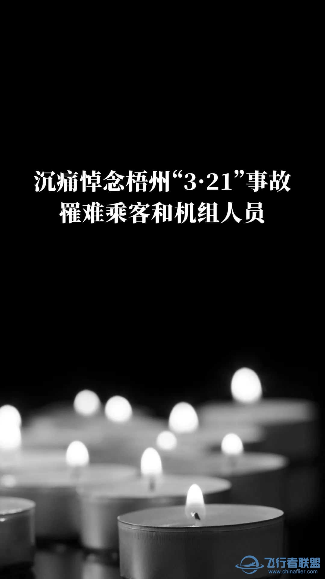 沉痛的纪念 mu5735-9171 