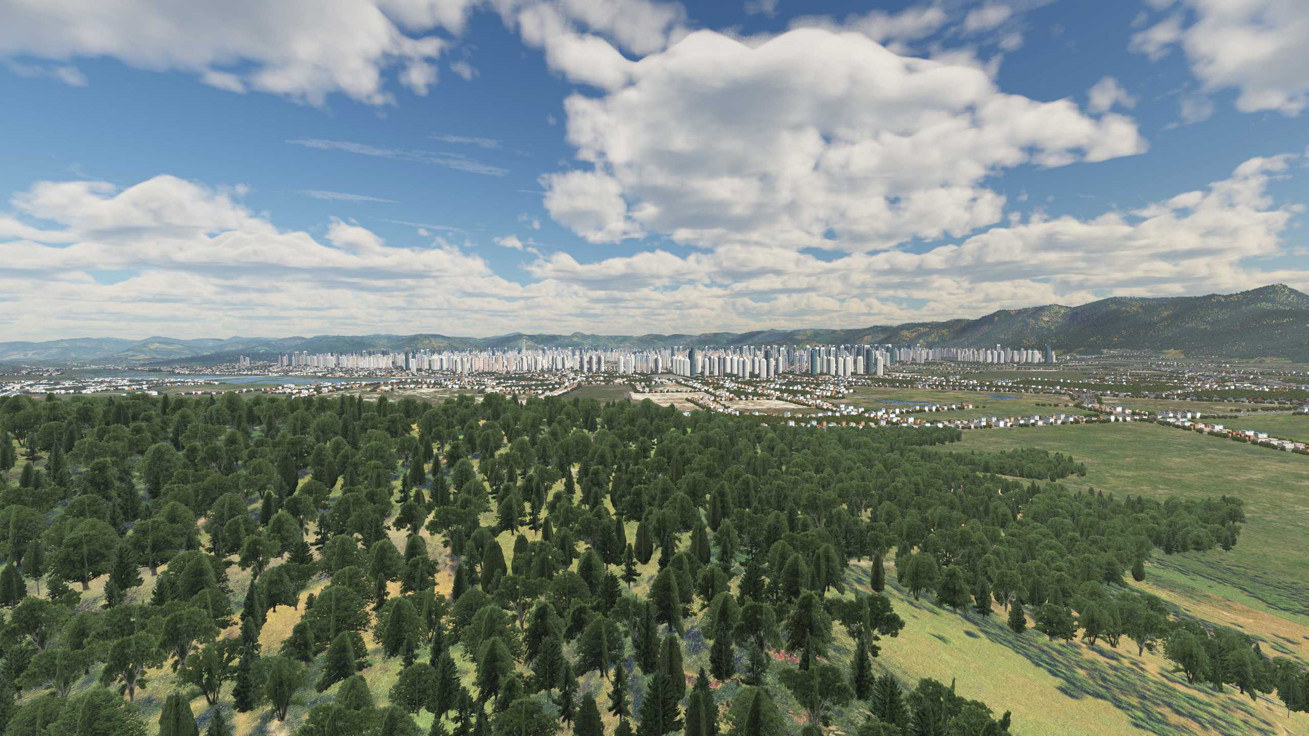 XP11 城市地景-----福州效果-7412 