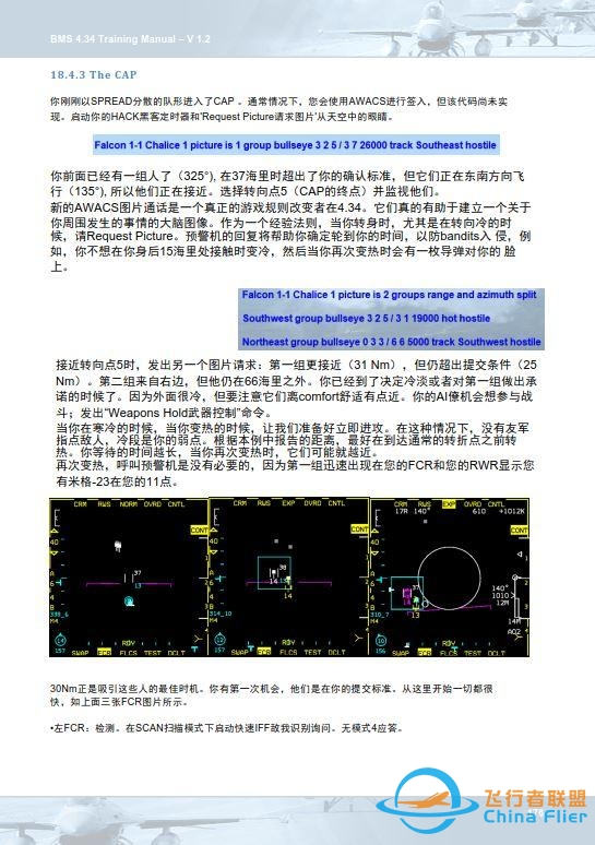 模拟飞行 BMS F-16 中文训练手册 18.5近距离空中保护-7881 