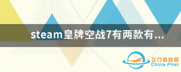 steam皇牌空战7有两款有什么区别?-101 