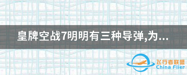 皇牌空战7明明有三种导弹,为什么只能用两种?-9706 