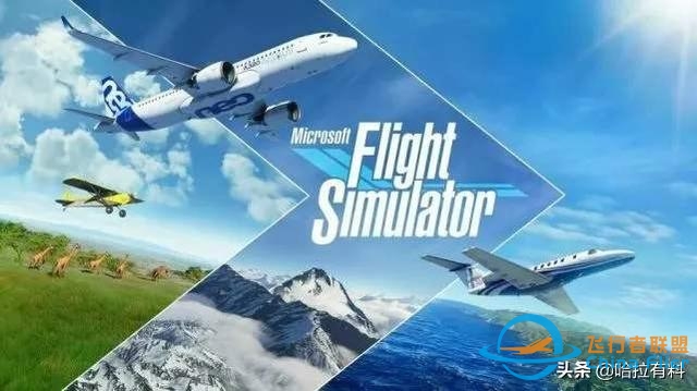 这款游戏逼真度太高，引得全球玩家开着飞机去美国围观飓风-7715 