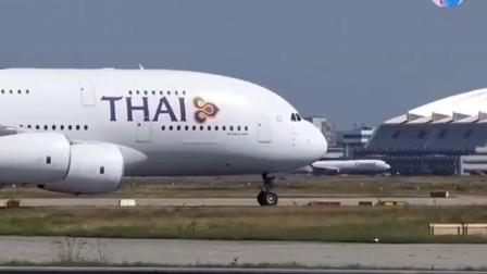 一只鸟在空客A380起飞过程中被吸入到了发动机里! 让人不忍直视-2207 