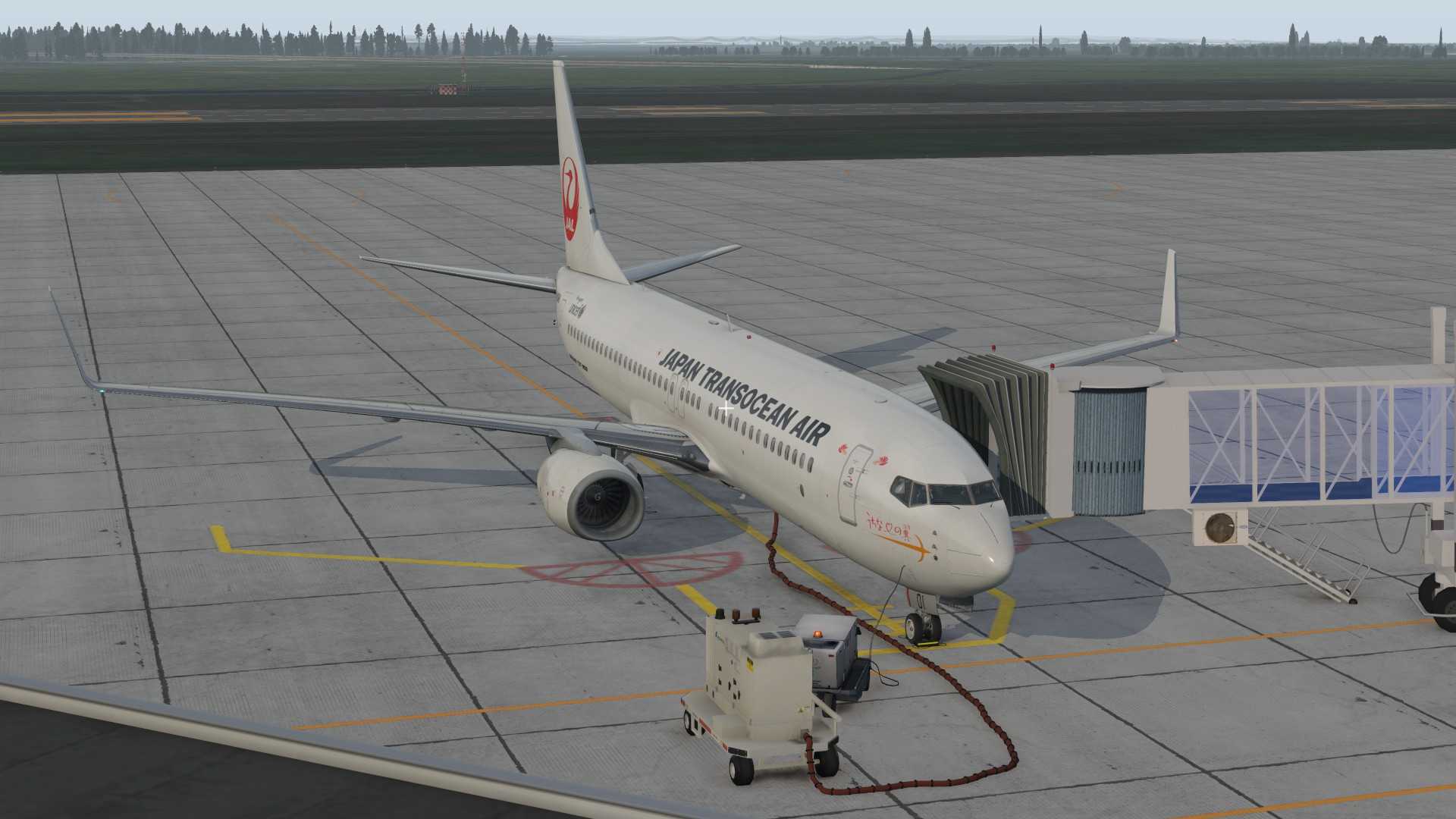 日常航线之新石垣-神户-仙台-5691 