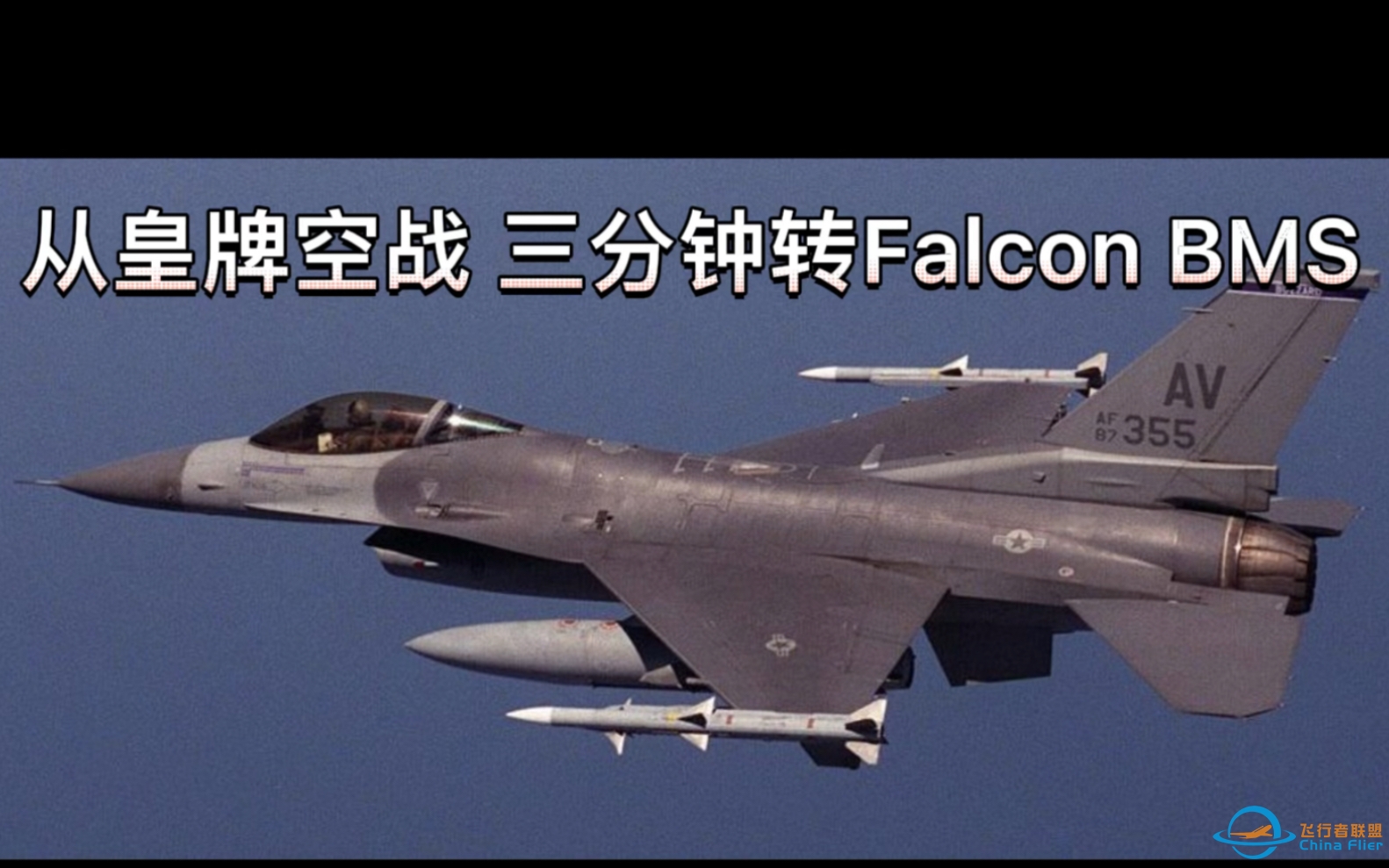 仅需三分钟，Falcon Bms小白速成，为皇牌空战的各位大佬定制的光速入门教程，中距格斗投弹包学包会-1060 