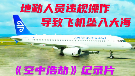 空客A320突然失控坠海，事故原因让人不可思议，空中浩劫-1699 