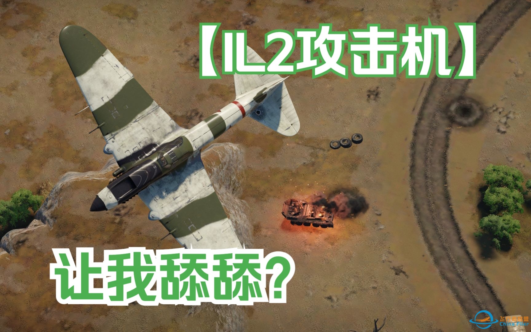 炸糕跟油条你选一个吧！-IL2攻击机全真集锦-2552 