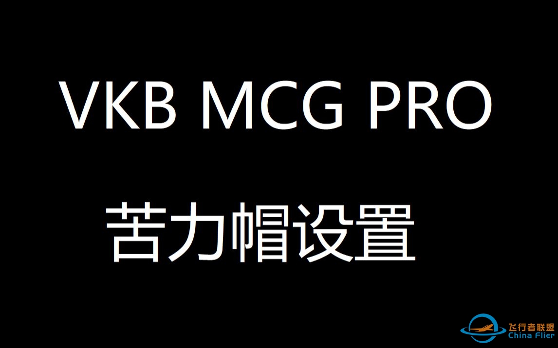 VKB MCG Pro 的苦力帽设置V2（简介中有更正）-4990 