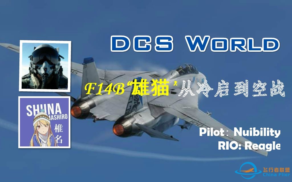 【DCS World】F-14B“雄猫”双人基础教学——从冷启动到空战-8297 