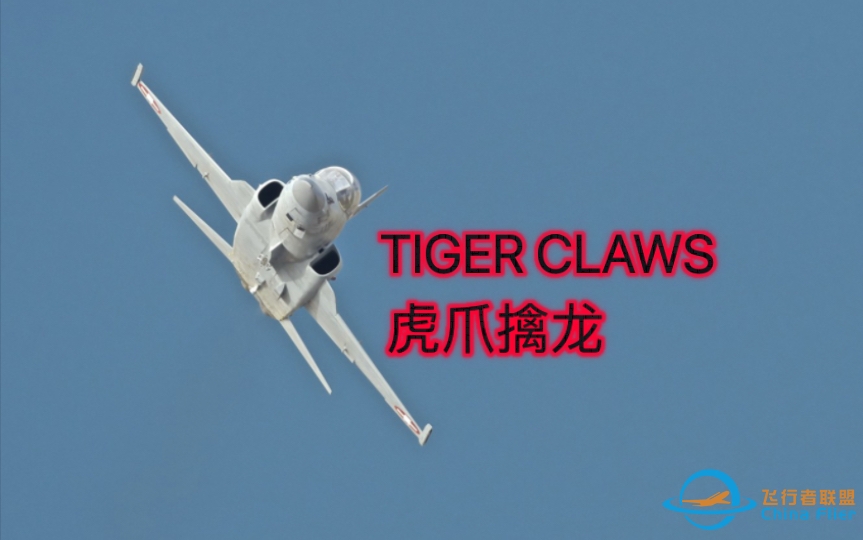 【DCS World】Tiger Claws 虎爪擒龙-4461 