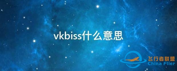 vk来自biss什么意思-3565 