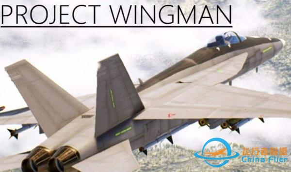 什么是wingman-4186 
