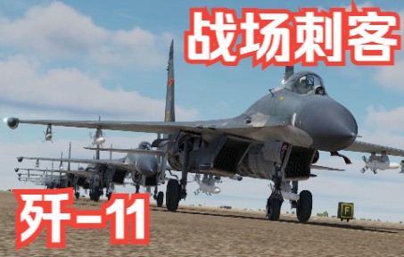 【DCS World】熟肉 战场刺客 歼-11-9542 