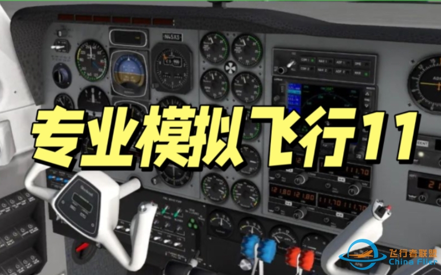 专业飞行模拟11 X-Plane 11 豪华中文学习版 下载-4037 