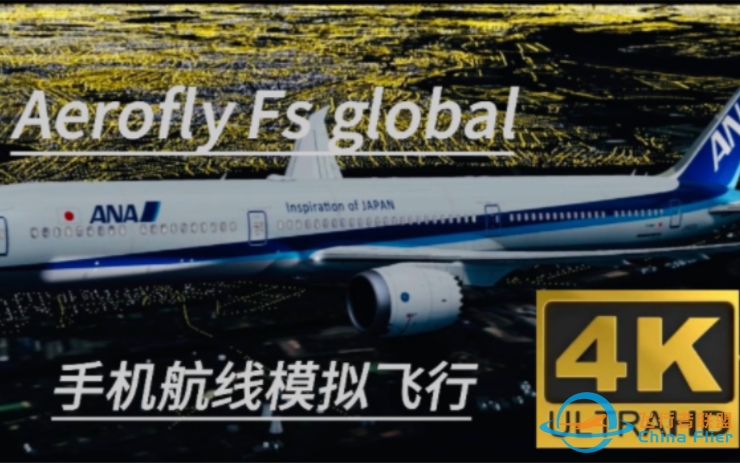 Aerofly Fs global 飞行模拟-8208 