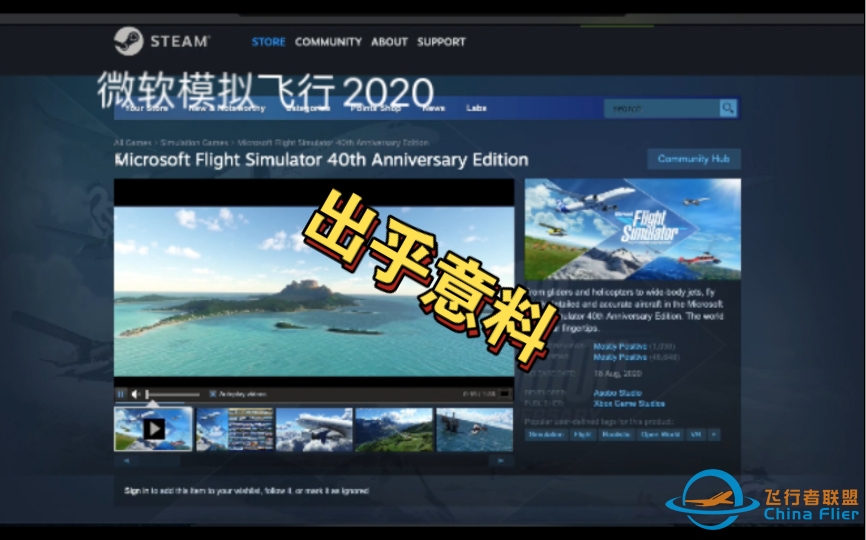 steam夏季大促后，哪款模飞好评率最高？（模拟飞行2020、XP12、Aerofly FS 4）-448 