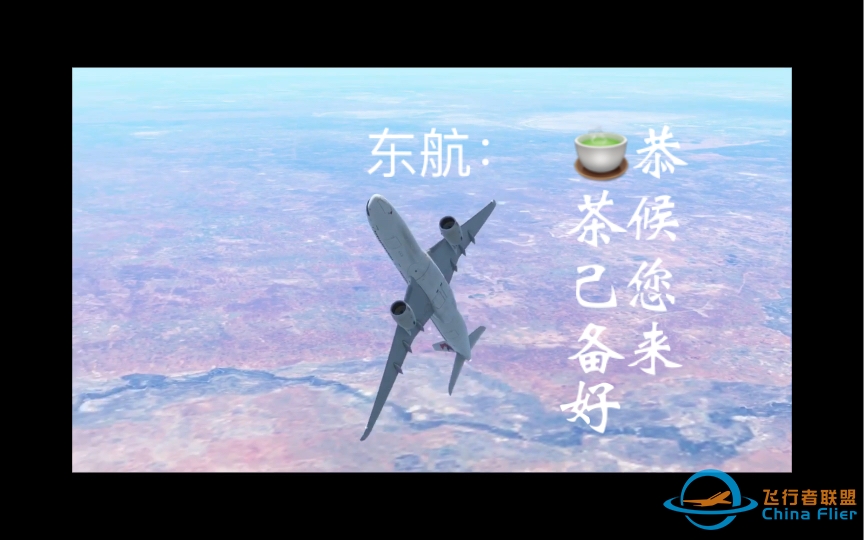 【infinite flight】TS高空乱踩跎，不收违规不坠落。东航看了直叫好，茶杯满上即滚蛋。漠视八该一反对，CAAC看了都流泪-4999 