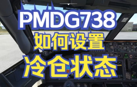 【飞行模拟2020】PMDG738如何设置冷仓状态？-6760 