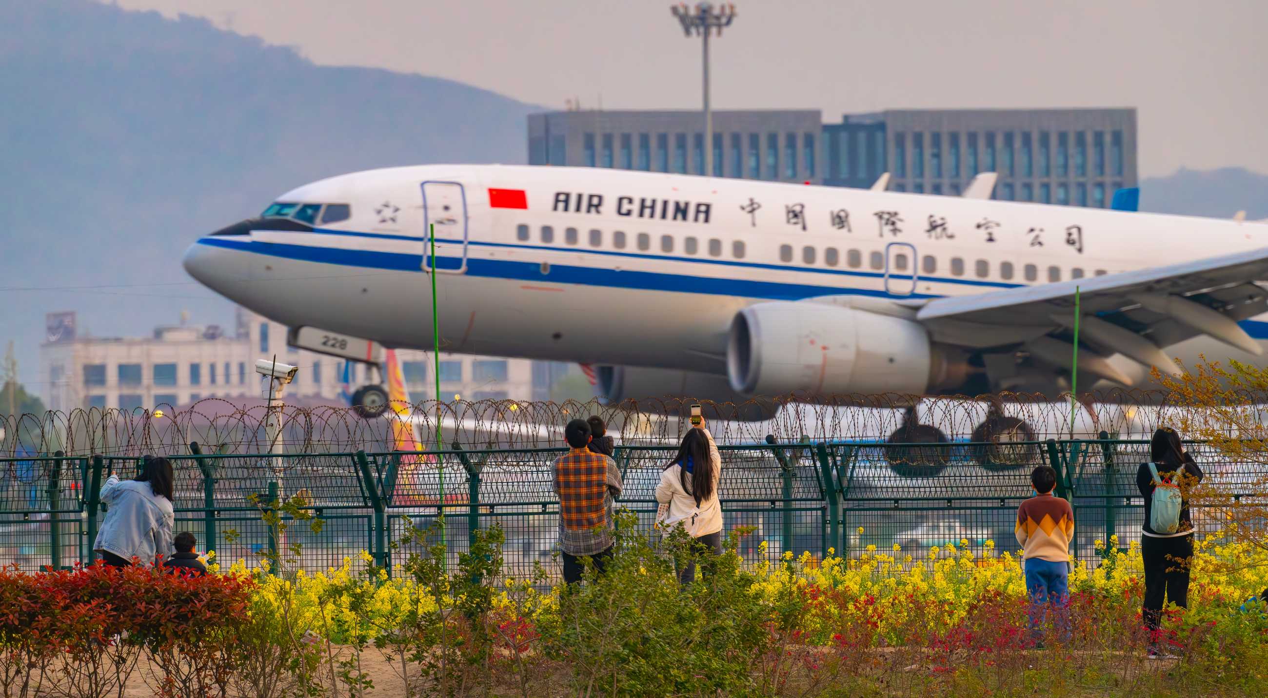 油菜花里拍大鸟，杭州萧山机场拍飞机-9542 
