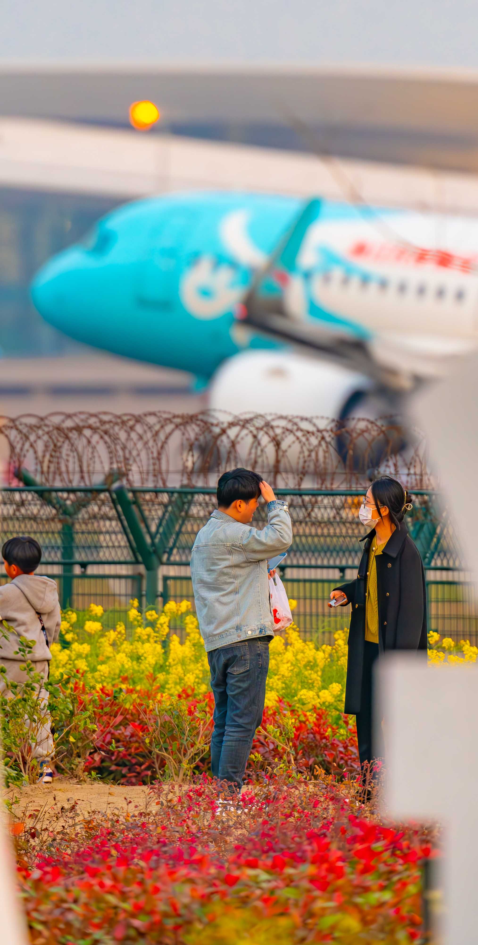 油菜花里拍大鸟，杭州萧山机场拍飞机-2234 