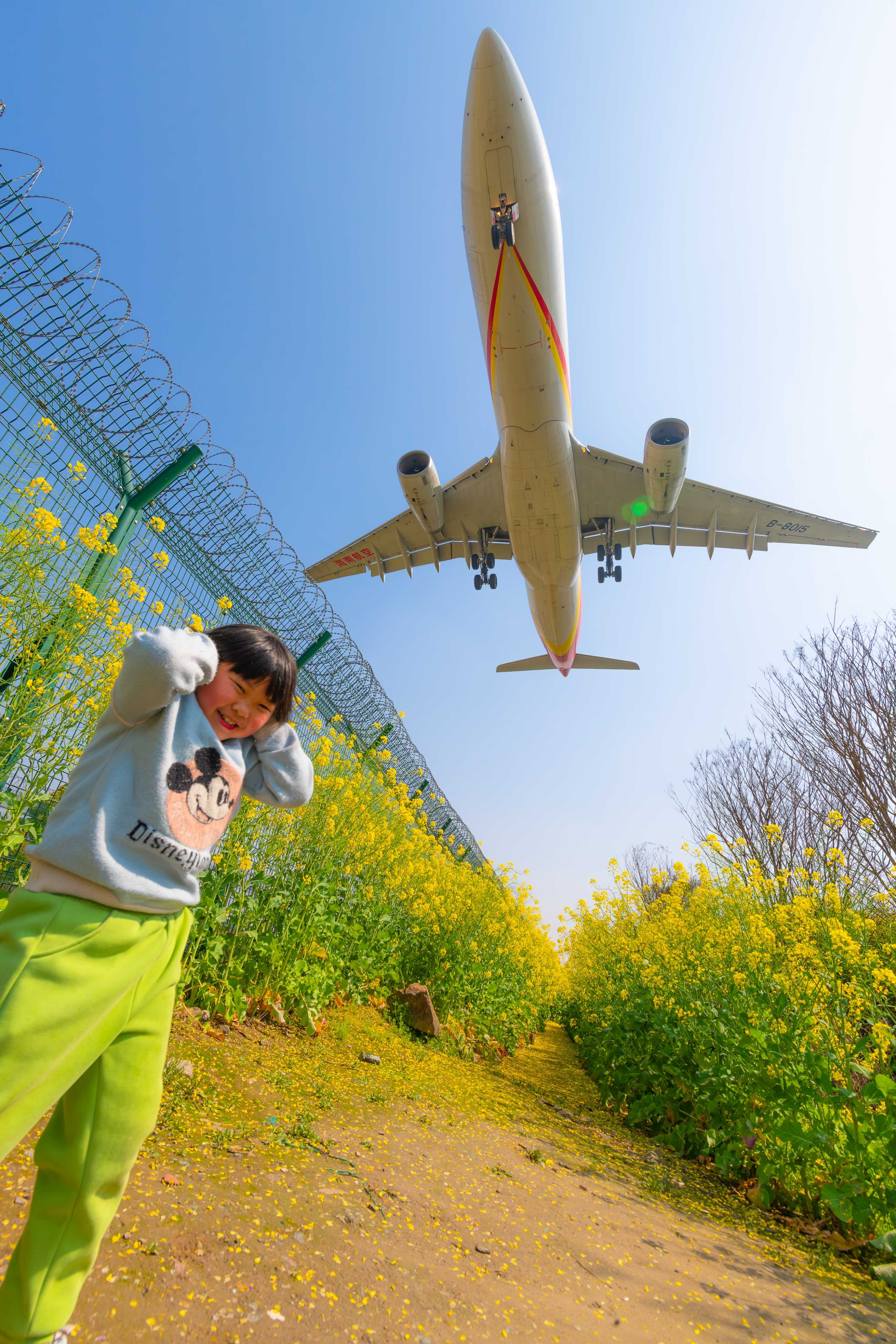 油菜花里拍大鸟，杭州萧山机场拍飞机-5761 