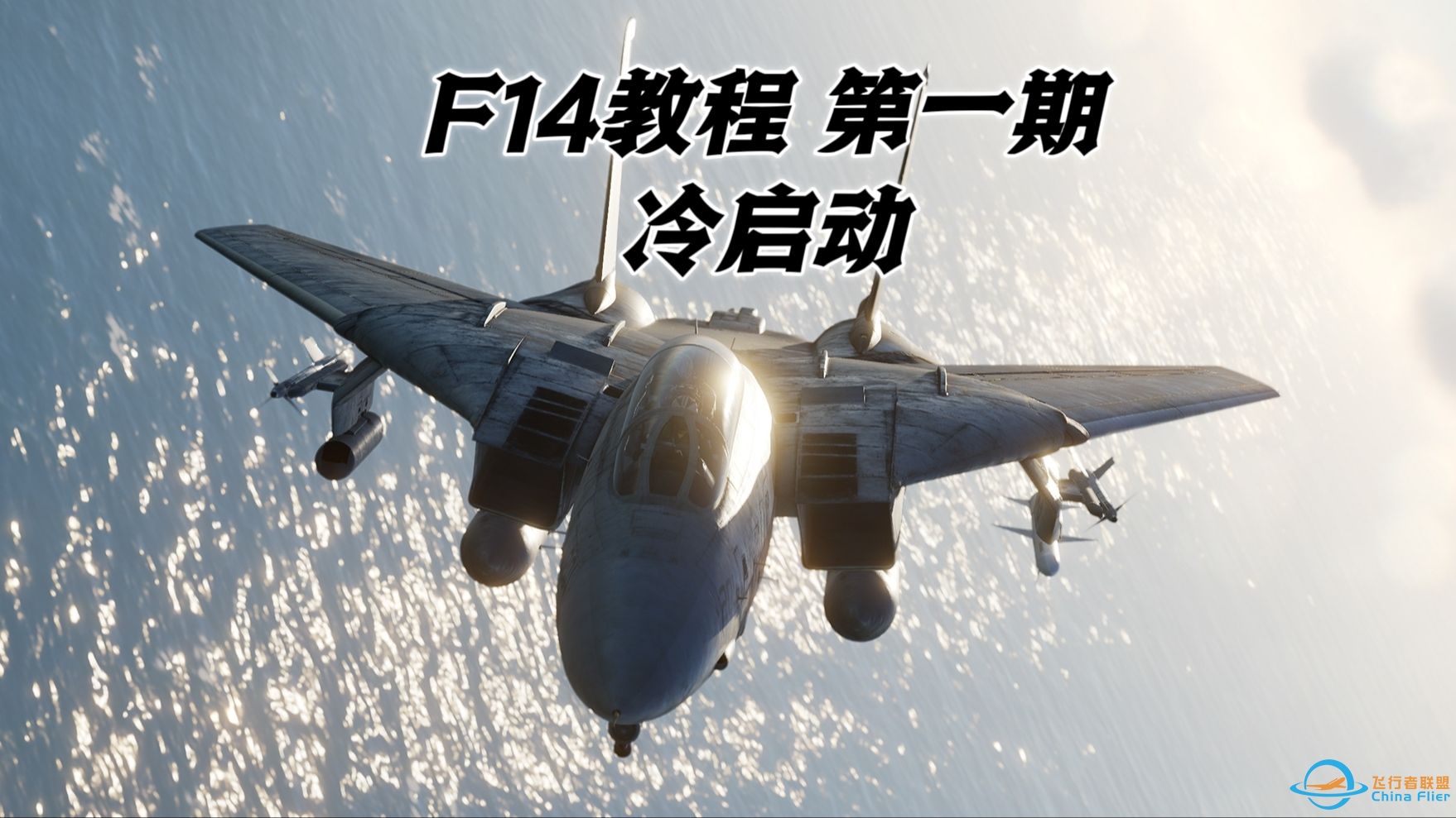 【DCS F14教程】第一期 前后座冷启动-4123 
