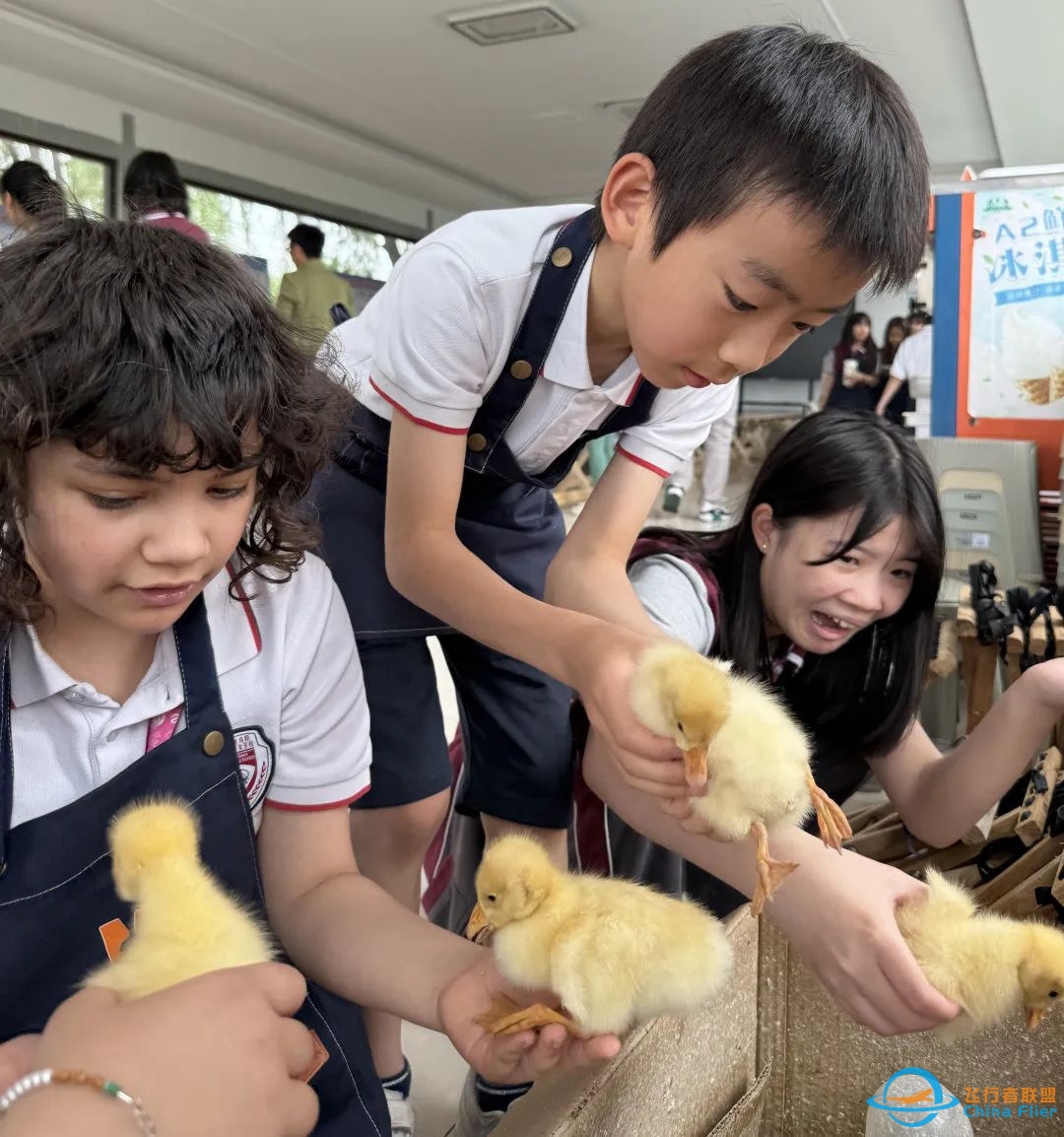 研究飞机、走进农场,JTIS让学生在研学中深度理解单元教学主题-4269 