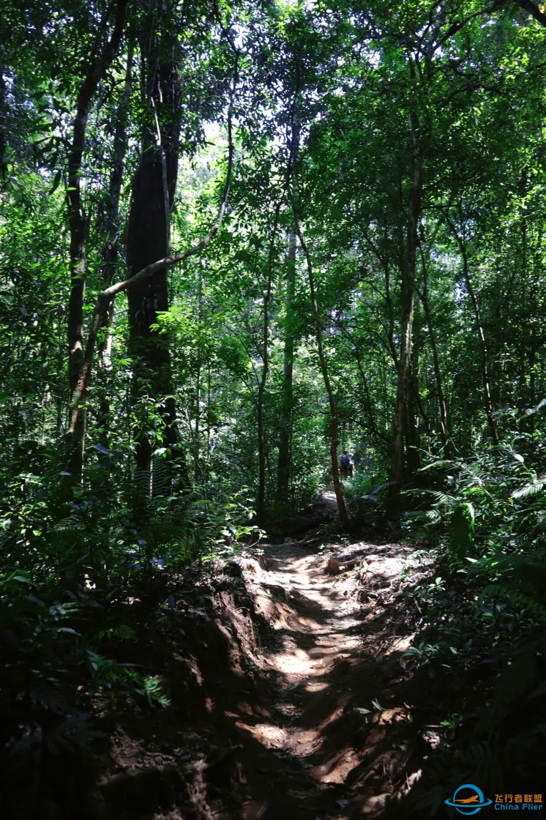 「6.8-6.13(端午)印尼龙目岛Lombok」6天5晚:如果炙热留不住|Rinjani火山徒步+Gili群岛浮潜-4671 