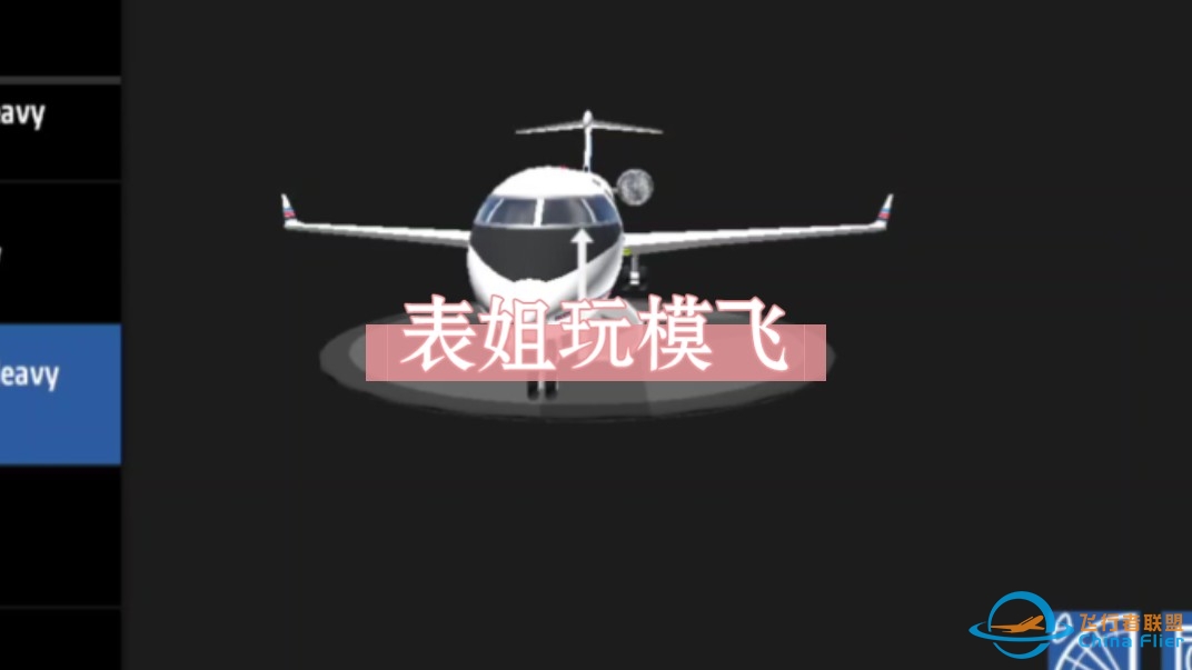 【简单飞机】当表姐玩飞行模拟游戏……-7677 