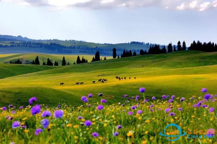 Confirmed【June 1|8|July 6】Xinjiang Karajun Grassland 4 Days Trek-9643 