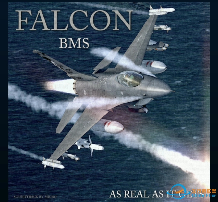 Falcon BMS BGM合集-6460 